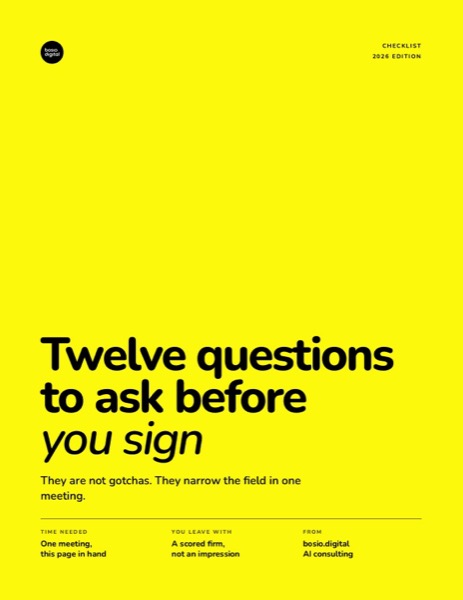 Twelve Questions to Ask an AI Consulting Firm, cover